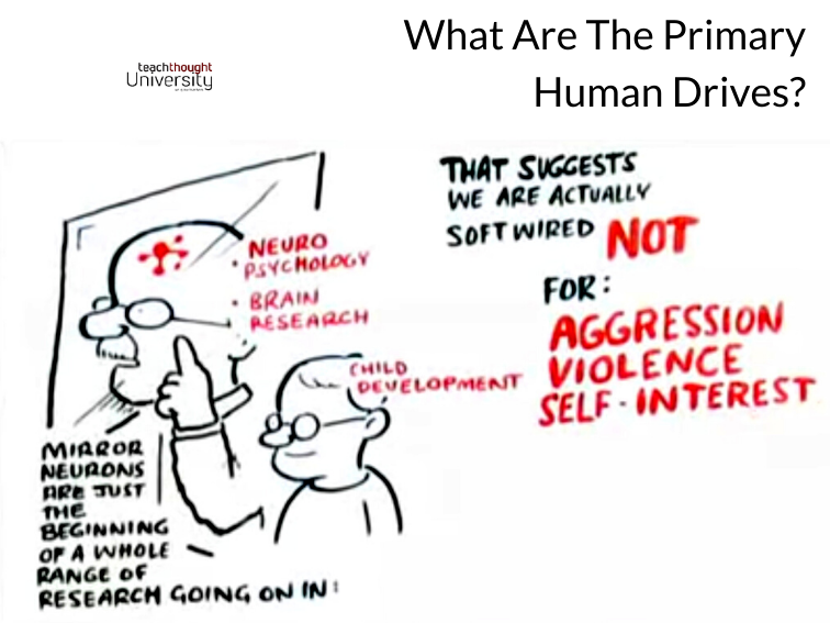 What Are The Primary Human Drives?